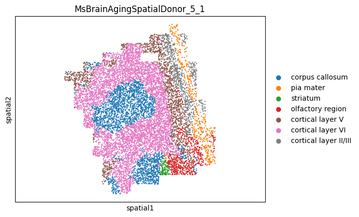 _images/MERFISH_aging_10_11.png