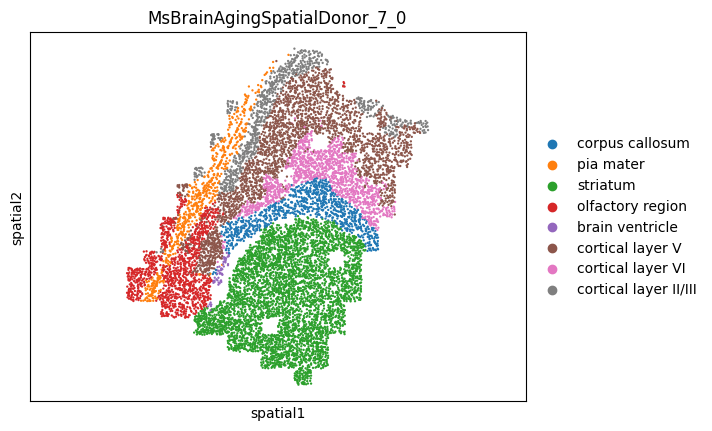 _images/MERFISH_aging_10_16.png