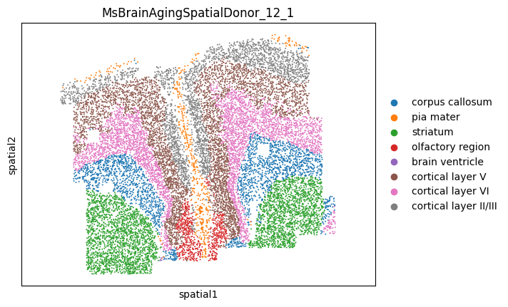 _images/MERFISH_aging_10_32.png